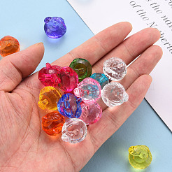 Прозрачные акриловые подвески&nbsp;TACR-T024-05B