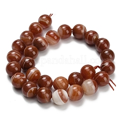 Натуральные полосатые агатовые бусы&nbsp;G-L642-B04-14mm