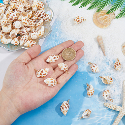 70 шт. подвески в виде натуральной спиральной ракушки из медной проволоки&nbsp;PALLOY-FH00100