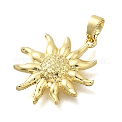 Латунные подвески&nbsp;KK-P336-35G