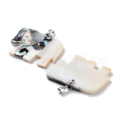 Натуральная ракушка пауа&nbsp;FIND-A041-02I-P