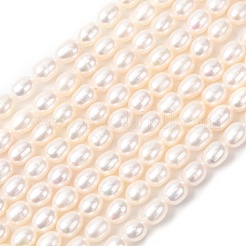 Нити из натурального культивированного пресноводного жемчуга&nbsp;PEAR-F020-01B