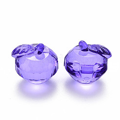 Прозрачные акриловые подвески&nbsp;TACR-T024-05B-936