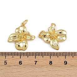 Латунные микро проложить кубического циркония подвески&nbsp;KK-A269-49G