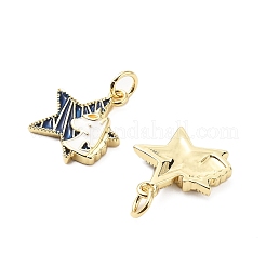 Латунь эмаль подвески&nbsp;KK-L237-028G-06