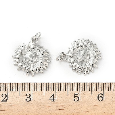 Латунные подвески&nbsp;LS-KK-I381-02P-1