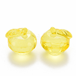 Прозрачные акриловые подвески&nbsp;TACR-T024-05B-916