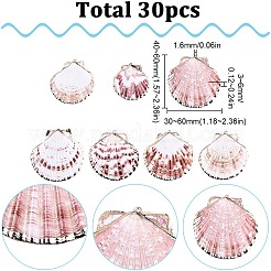 30 шт. подвески из морских ракушек с гальваническим покрытием&nbsp;SSHEL-SC0001-27