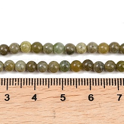 Натуральный канадский нефрит бисер пряди&nbsp;G-B171-B01-4mm