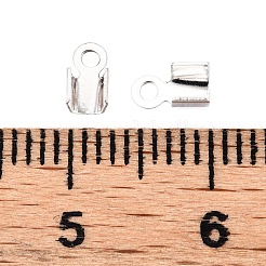 Железом мозг конец&nbsp;IFIN-T021-01S