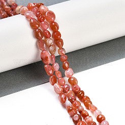 Натуральный красный агат бисер нитей&nbsp;G-P497-01B-11