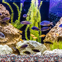 Природные и синтетические смешанные драгоценный камень бисер&nbsp;G-GA0001-28