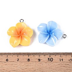 Подвески из непрозрачной смолы&nbsp;X-RESI-T056-03A