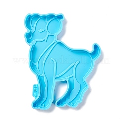 Молды для силиконовых ковриков в форме созвездия&nbsp;DIY-M039-11F