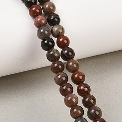 Натуральный окаменелого дерева нити круглый шарик&nbsp;G-F266-08-6mm