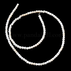 Нити бусин из натуральных пресноводных ракушек&nbsp;SHEL-A006-04A