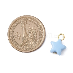 Непрозрачные акриловые подвески&nbsp;PALLOY-JF04199-01