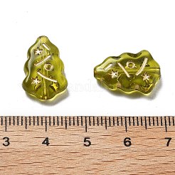 Прозрачные акриловые бусины OACR-Q016-07A