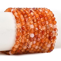 Живой цветок агат бисер нитей&nbsp;G-B175-D23-4mm