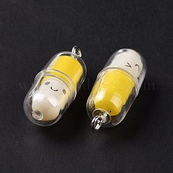 Подвески из полупрозрачного пластика&nbsp;LS-X-KY-L006-29B