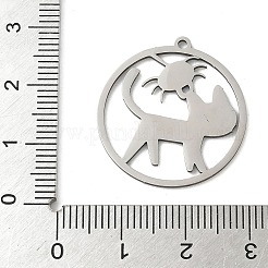 201 подвеска из нержавеющей стали&nbsp;LS-STAS-G366-02P-07