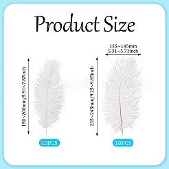 20 шт. 2 стиля аксессуаров для костюма из страусиных перьев&nbsp;FIND-TA0005-96