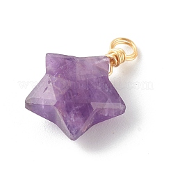 Подвески из натуральных смешанных драгоценных камней&nbsp;PALLOY-JF00748