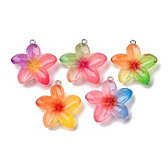 Прозрачные смоляные подвески&nbsp;RESI-A046-05F