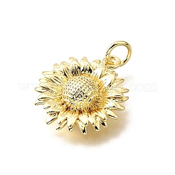 Латунные подвески&nbsp;KK-V011-41G