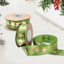 Полиэфирная лента&nbsp;SRIB-P018-B01