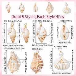20 шт. подвески из натуральных ракушек в 5 стилях&nbsp;FIND-SC0015-65