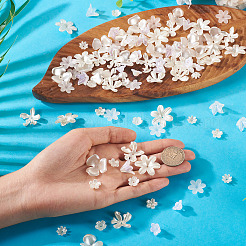 270 шт. 9 вида акриловых бусин с имитацией жемчуга&nbsp;OACR-TA0004-01