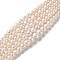 Natural Cultured Freshwater Pearl Beads Strands, Gradient Round, PapayaWhip, 4~11x3~10mm, Hole: 0.5mm, about 77pcs/strand, 15.87''(40.3cm)