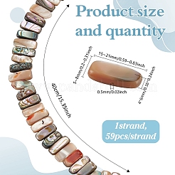 1 нить бусин из натуральной ракушки пауа&nbsp;BSHE-ME0001-04