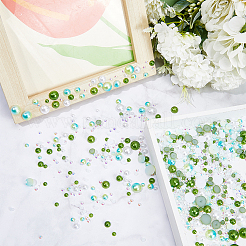 Наборы кабошонов из смолы и стразов из абс-пластика&nbsp;RESI-WH0029-51C