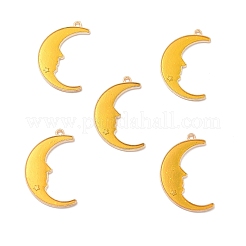 Подвески из эмали и сплава&nbsp;LS-ENAM-E005-01G-03