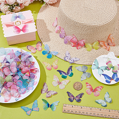 100 шт. 3D-наклейки для глаз из органзы в виде бабочки&nbsp;MRMJ-ME0001-06