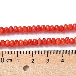 Нити бусин из натуральных пресноводных ракушек&nbsp;SSHEL-C013-08A