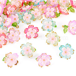 30шт 5 цвета прозрачные акриловые подвески&nbsp;PALLOY-TA00304