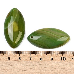 Окрашенные естественный агат подвески&nbsp;G-S349-24F