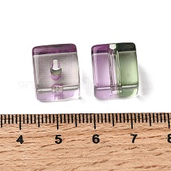 Двухцветные прозрачные акриловые бусины&nbsp;TACR-C002-03