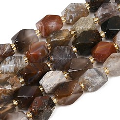 Природные Ботсвана агат бисер нитей&nbsp;G-P611-B01-01