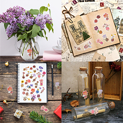 180 шт. DIY-CP0007-02