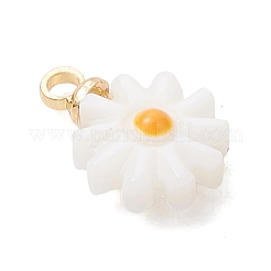 4 шт. 4 варианта подвесок в виде цветов из натуральных пресноводных ракушек с эмалью и латунными креплениями&nbsp;PALLOY-JF04895