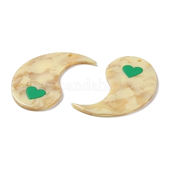 Акриловые кулон&nbsp;LS-FIND-Q105-07B