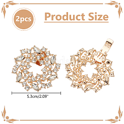 1 пара пряжек для обуви из сплава&nbsp;DIY-WR0004-08B