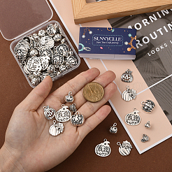 Подвески из сплава в тибетском стиле&nbsp;FIND-SC0019-39