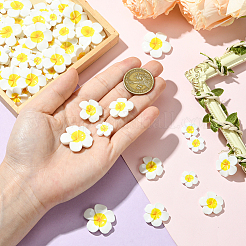 3 стиль пластиковые кабошоны&nbsp;FIND-SC0019-49