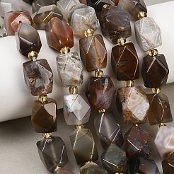 Природные Ботсвана агат бисер нитей&nbsp;G-P611-B01-01