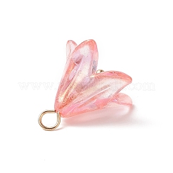 Акриловые подвески&nbsp;PALLOY-TA00023